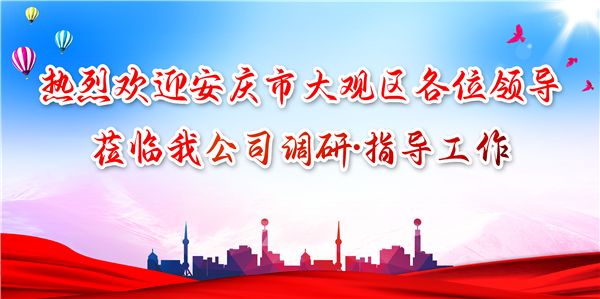 安慶市大觀區(qū)領(lǐng)導(dǎo)蒞臨我公司調(diào)研工作，為發(fā)展注入新動力